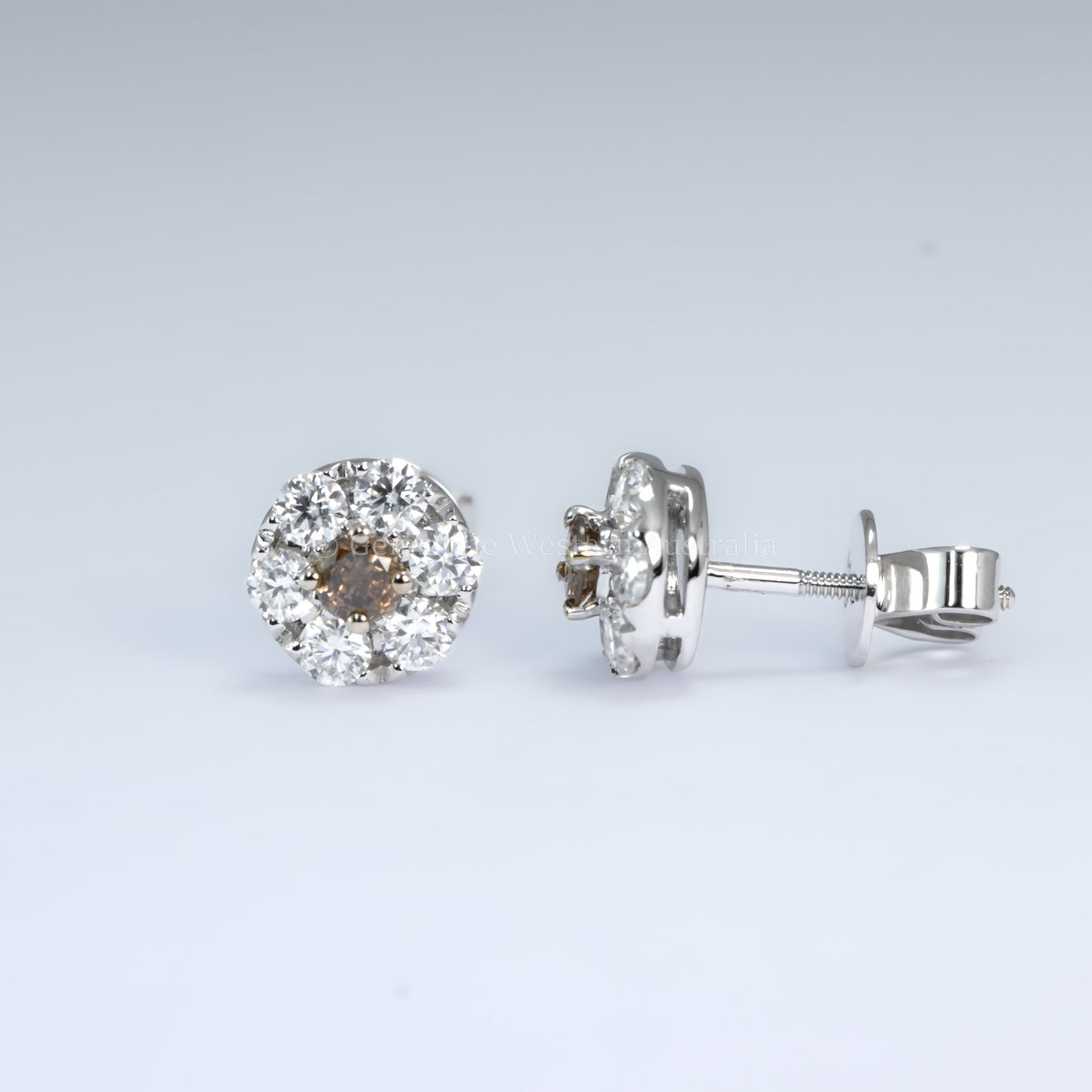 Stud Earrings with Western Australian Champagne Diamonds & Moissanite Halo