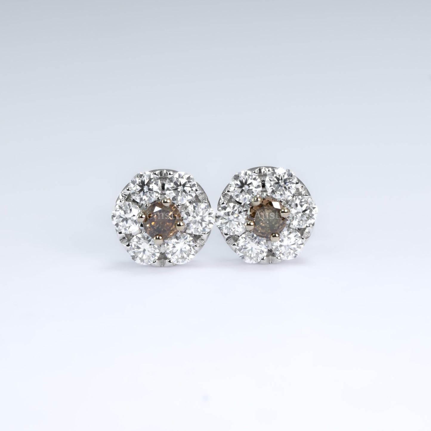 Stud Earrings with Western Australian Champagne Diamonds & Moissanite Halo
