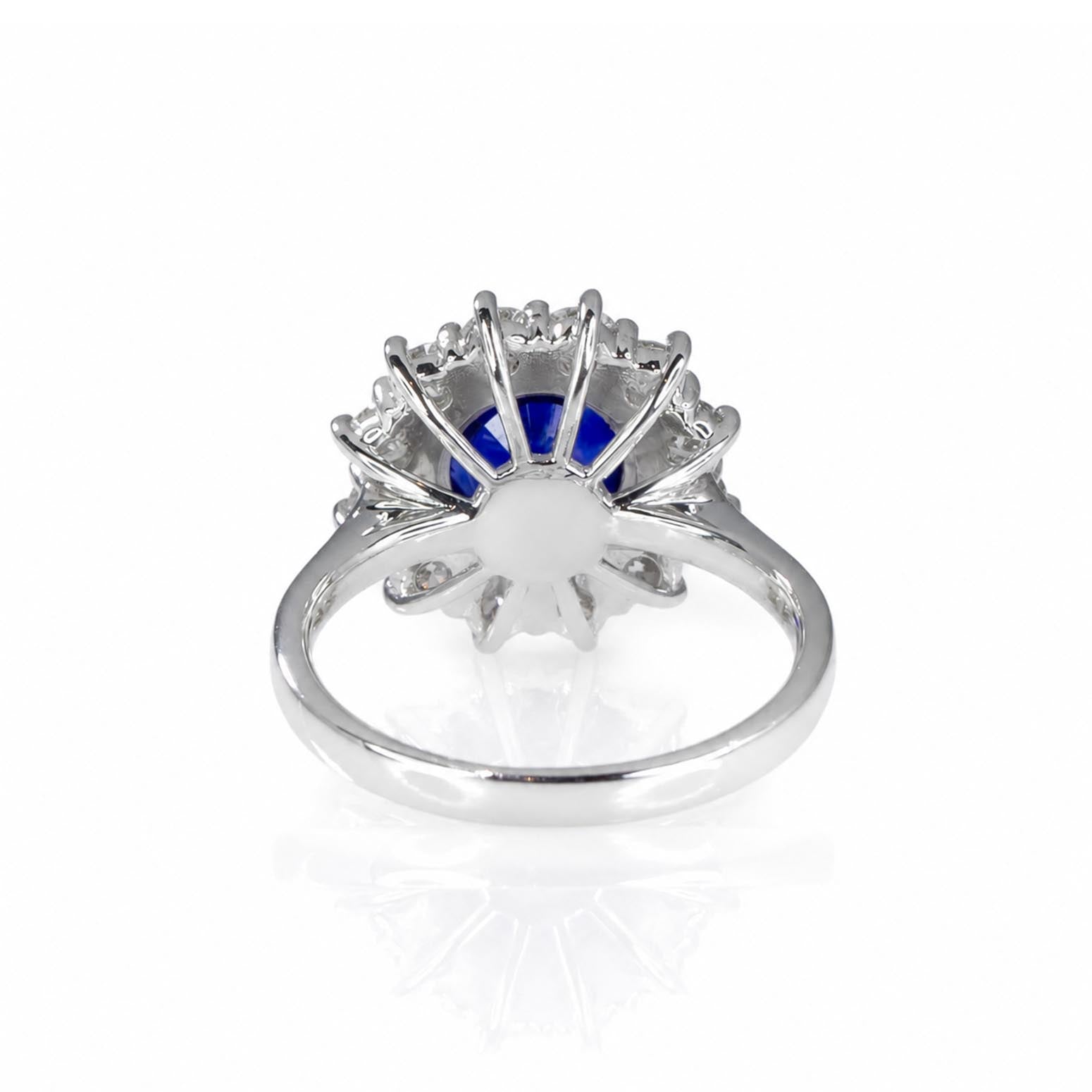 A platinum ring featuring a central round blue sapphire surrounded by a halo of round brilliant-cut diamonds, shown from the back on a white background with a soft reflection.