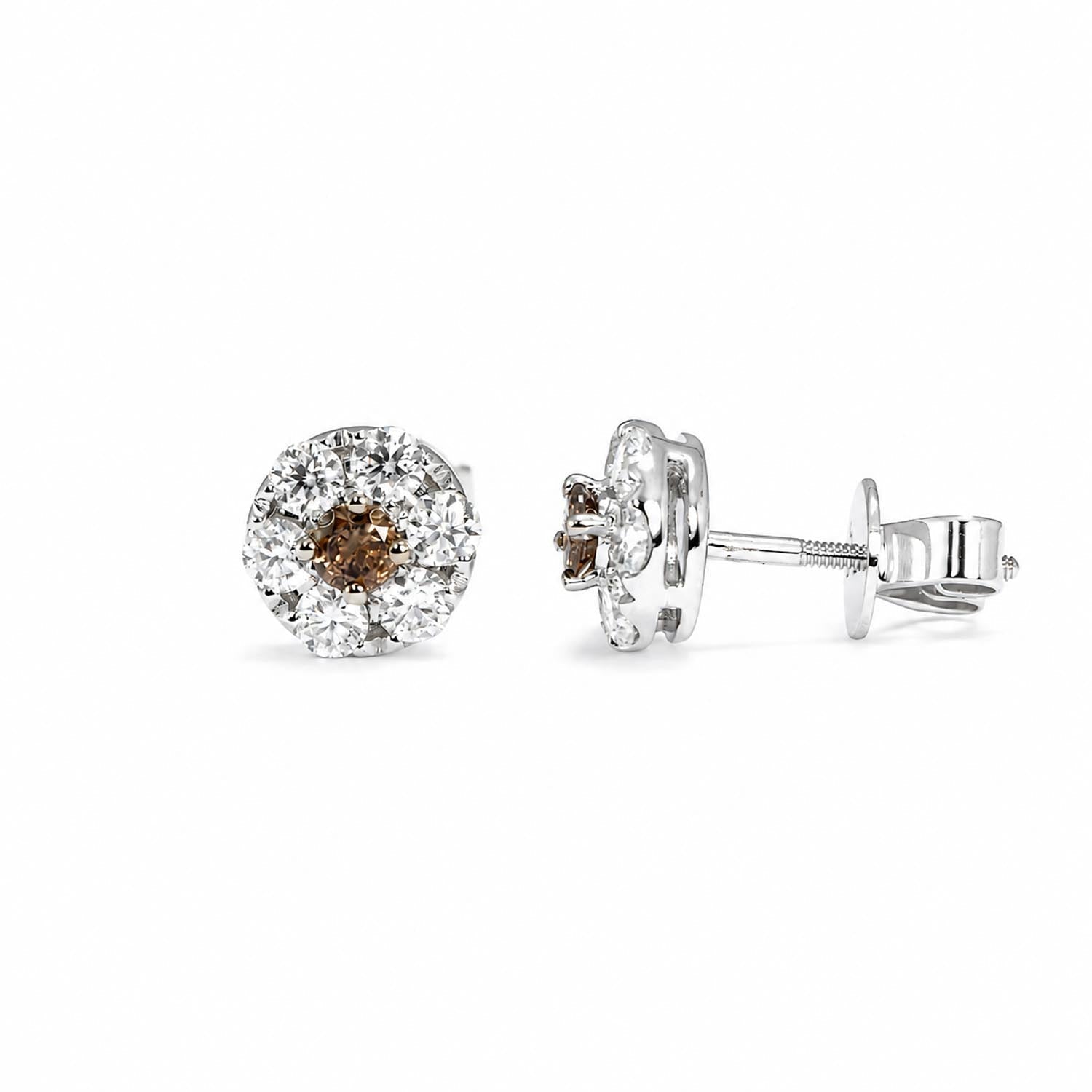 Stud Earrings with Western Australian Champagne Diamonds & Moissanite Halo