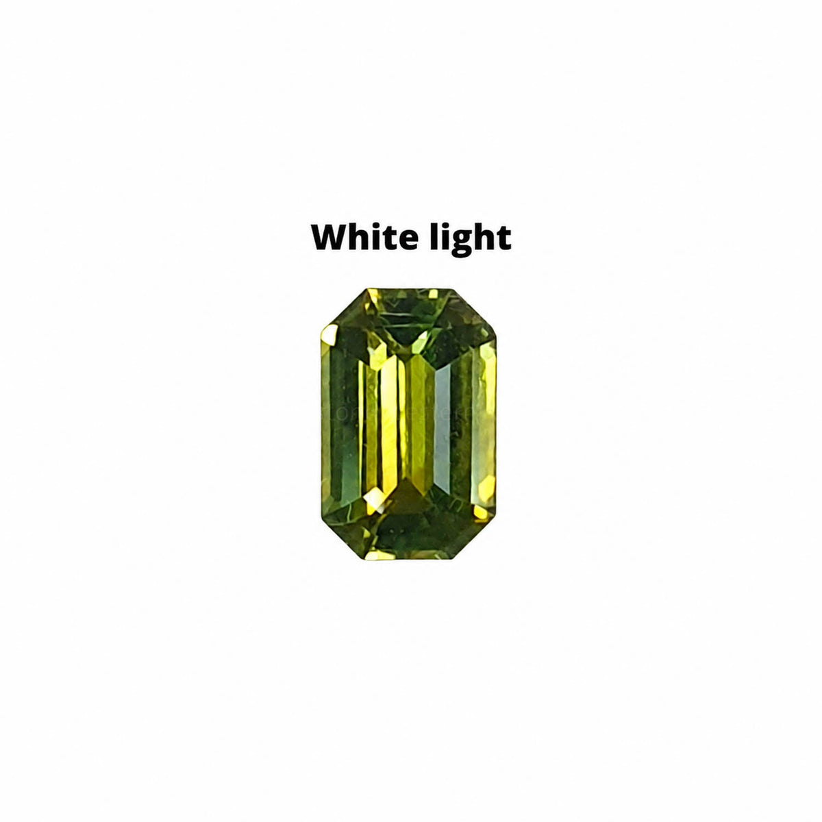 0.66 ct emerald cut alexandrite photographed in daylight