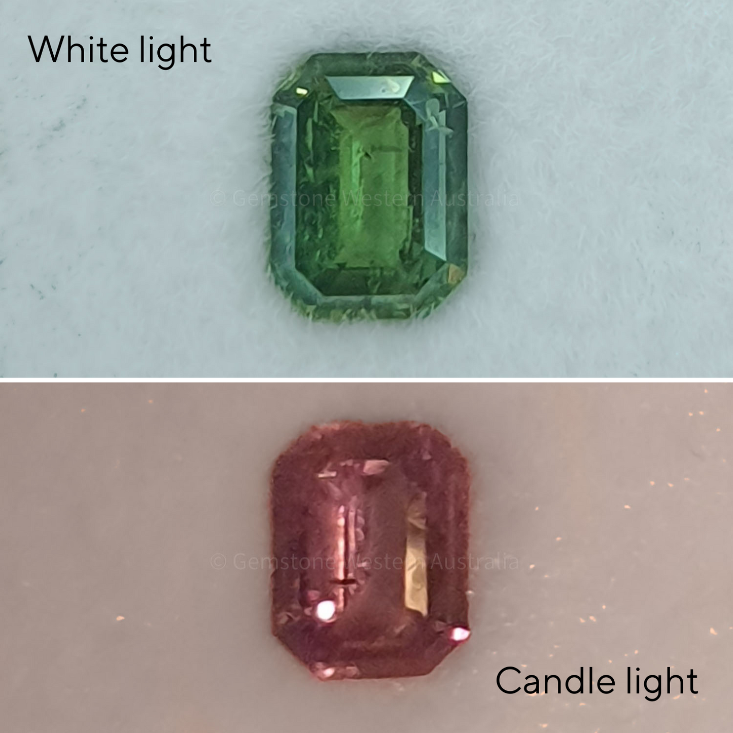 0.63 ct Natural Alexandrite Loose Gemstone Emerald Cut