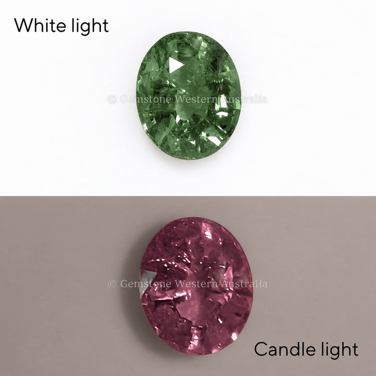 1.50 ct natural alexandrite, oval cut chrysoberyl
