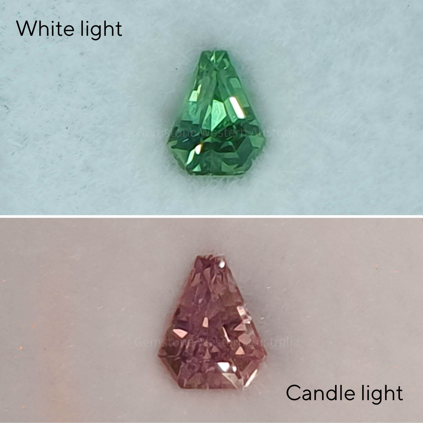 0.37 ct Natural Alexandrite Loose Gemstone Shield Fancy Cut
