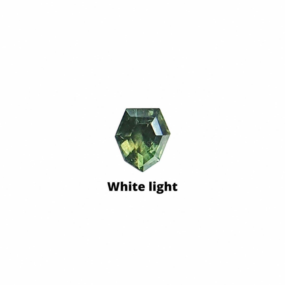 0.21 ct shield cut alexandrite photographed in daylight