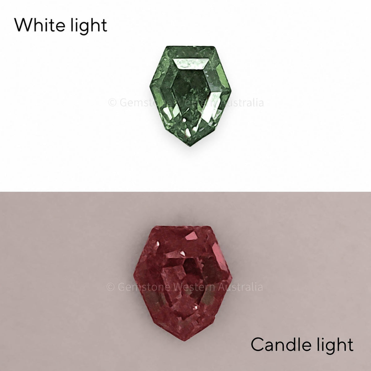 0.24 ct natural alexandrite, shield fancy cut loose gemstone