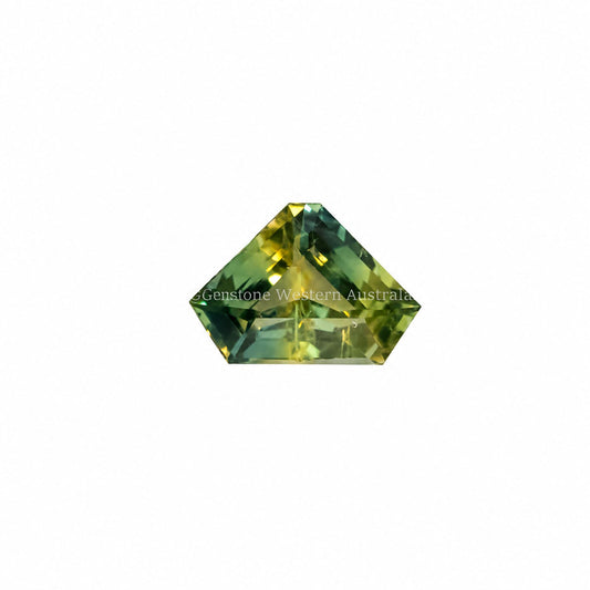 0.69 ct natural unheated parti colour sapphire, fancy shield cut