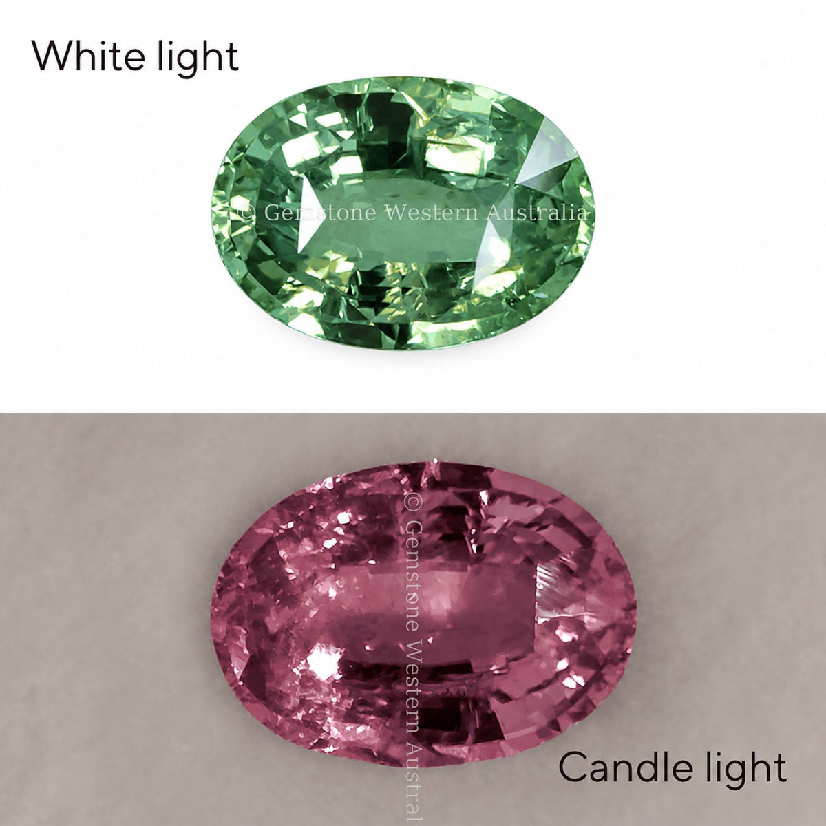 1.65 ct natural alexandrite, oval cut chrysoberyl