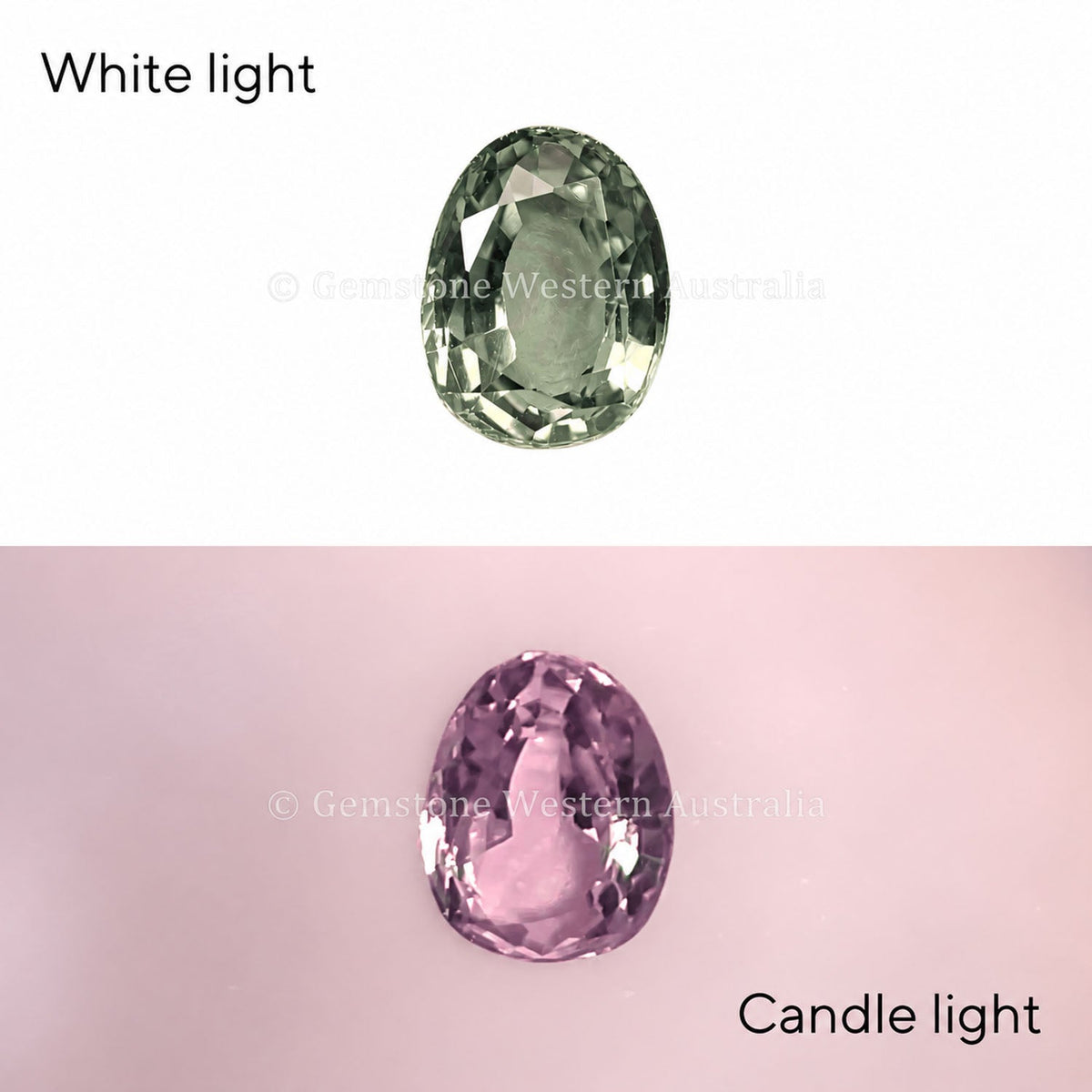 0.50 ct natural alexandrite, oval cut chrysoberyl