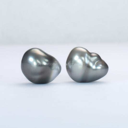 Tahitian pearl stud earrings on a gray background