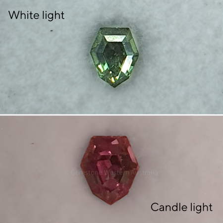 front view of 0.24 ct Natural Alexandrite Shield Fancy Cut Loose Gemstone
