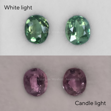 FRONT VIEW OF 1.02CT NATURAL ALEXANDRITE PAIR - OVAL CUT