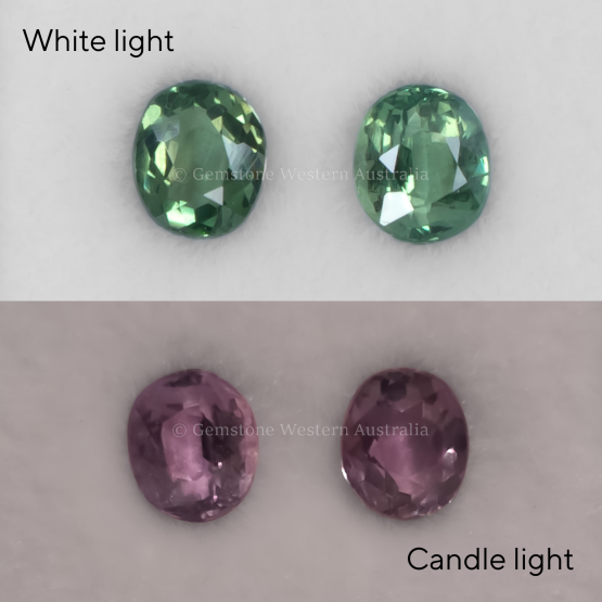 FRONT VIEW OF 1.02CT NATURAL ALEXANDRITE PAIR - OVAL CUT